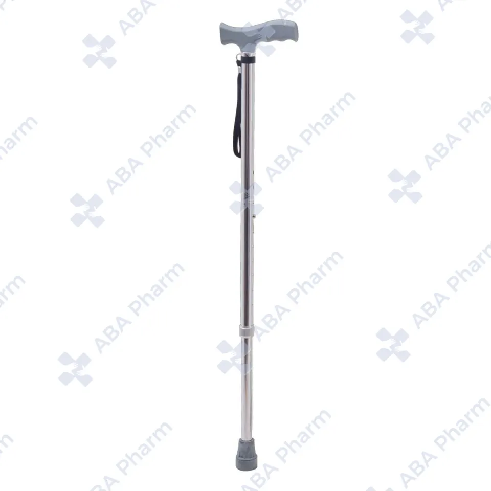 Cane C standard chrome  №1