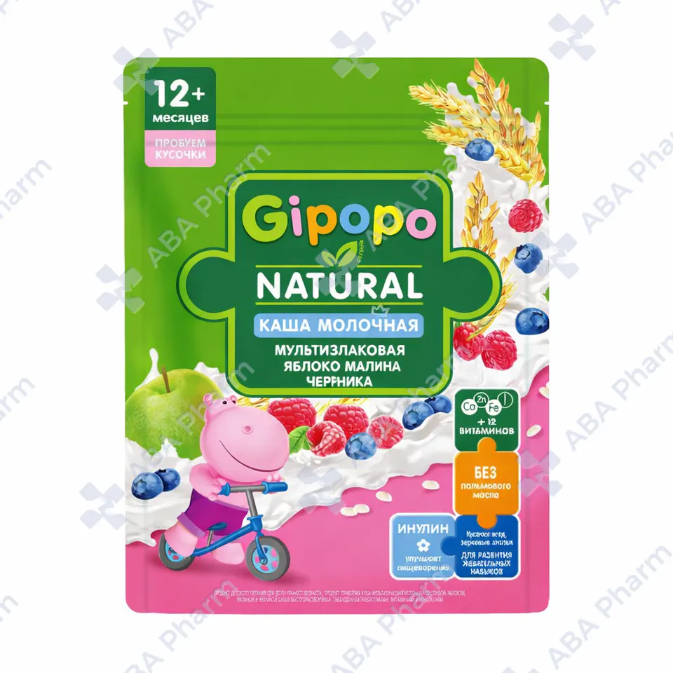 Gipopo milk porridge, multigrain, apple, raspberry, blueberry 12+ months 200g №1